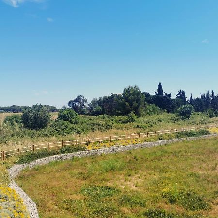 La Dolce Vita Aux Portes De Montpellier Villeneuve-lès-Maguelonne Exteriér fotografie